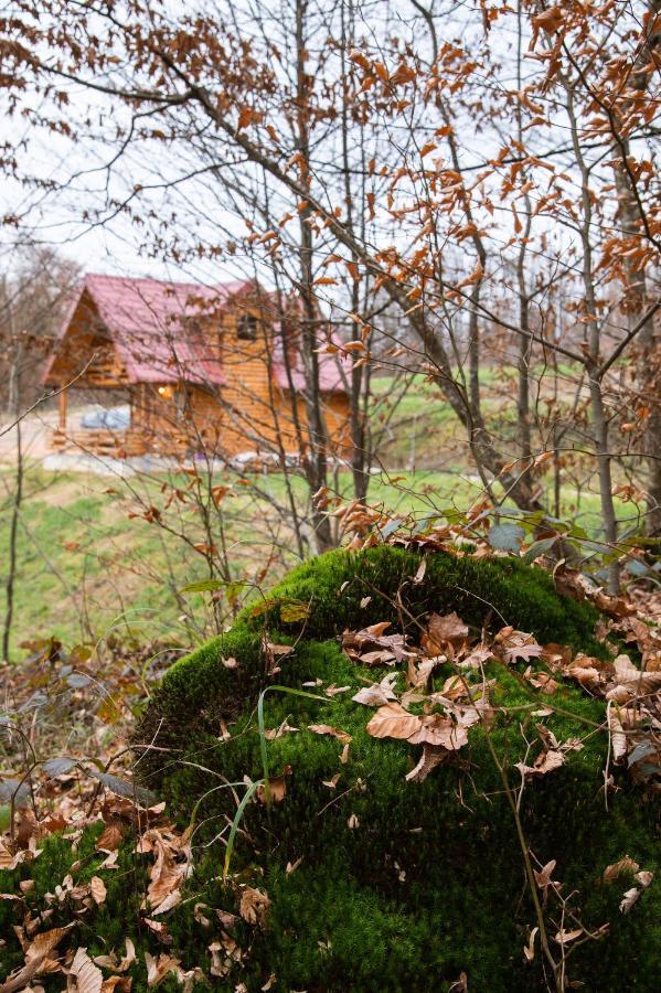 Brvnaria Villa Slatina Varoš Exterior photo